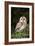 Tawny Owl-Colin Varndell-Framed Photographic Print