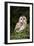 Tawny Owl-Colin Varndell-Framed Photographic Print
