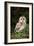 Tawny Owl-Colin Varndell-Framed Photographic Print