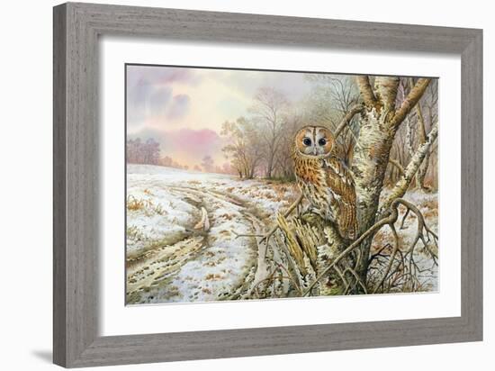 Tawny Owl-Carl Donner-Framed Giclee Print