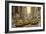 Taxi a New York-Guido Borelli-Framed Giclee Print