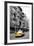 Taxi Cabs - Chinatown - Yellow Cabs - Manhattan - New York City - United States-Philippe Hugonnard-Framed Photographic Print