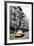 Taxi Cabs - Chinatown - Yellow Cabs - Manhattan - New York City - United States-Philippe Hugonnard-Framed Photographic Print