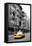 Taxi Cabs - Chinatown - Yellow Cabs - Manhattan - New York City - United States-Philippe Hugonnard-Framed Premier Image Canvas