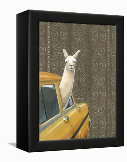 Taxi Llama-Jason Ratliff-Framed Premier Image Canvas