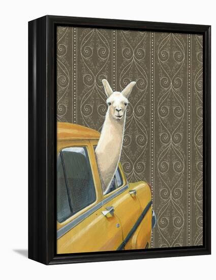 Taxi Llama-Jason Ratliff-Framed Premier Image Canvas