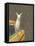 Taxi Llama-Jason Ratliff-Framed Premier Image Canvas