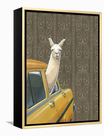 Taxi Llama-Jason Ratliff-Framed Premier Image Canvas