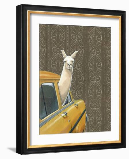 Taxi Llama-Jason Ratliff-Framed Giclee Print