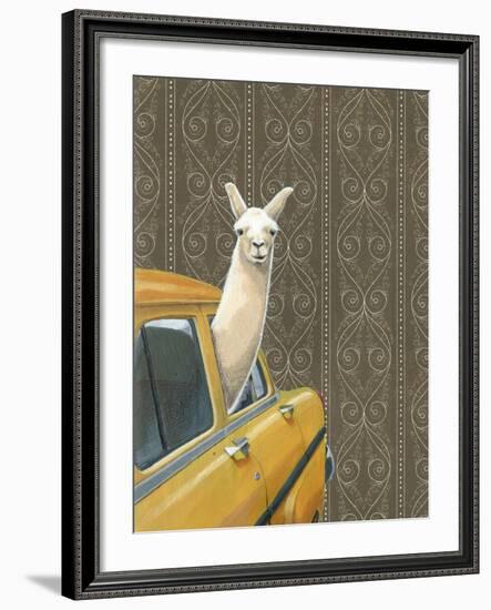 Taxi Llama-Jason Ratliff-Framed Giclee Print