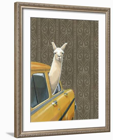 Taxi Llama-Jason Ratliff-Framed Giclee Print