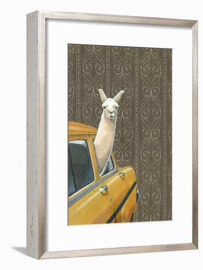 Taxi Llama-Jason Ratliff-Framed Giclee Print