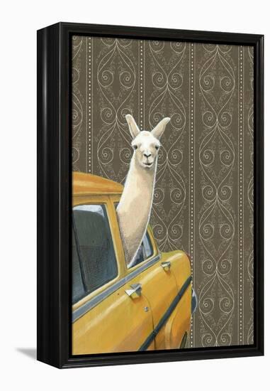 Taxi Llama-Jason Ratliff-Framed Premier Image Canvas