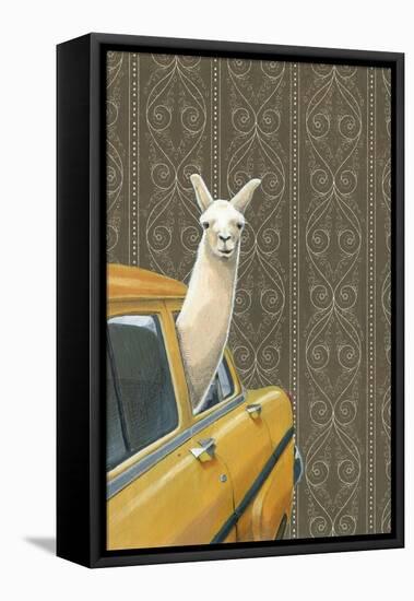 Taxi Llama-Jason Ratliff-Framed Premier Image Canvas