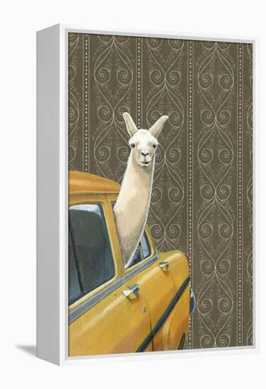 Taxi Llama-Jason Ratliff-Framed Premier Image Canvas