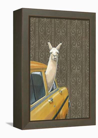 Taxi Llama-Jason Ratliff-Framed Premier Image Canvas