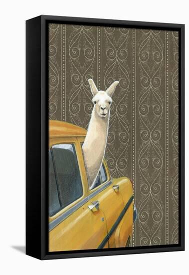 Taxi Llama-Jason Ratliff-Framed Premier Image Canvas