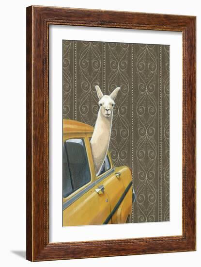 Taxi Llama-Jason Ratliff-Framed Giclee Print