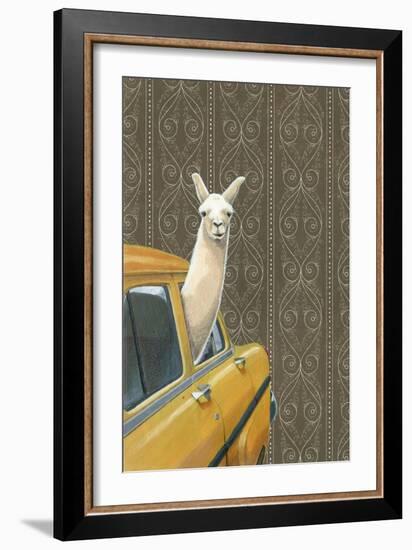 Taxi Llama-Jason Ratliff-Framed Giclee Print