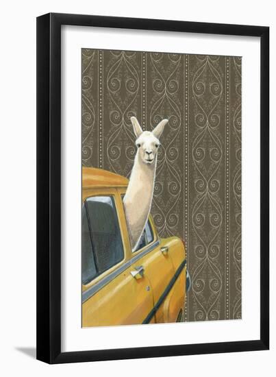 Taxi Llama-Jason Ratliff-Framed Giclee Print