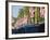 Taxis on the Mall, London, England, Uk-Jon Arnold-Framed Photographic Print