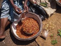 Woman Sorting Chili Peppers in a Metal Bowl, Ghana, West Africa, Africa-Taylor Liba-Photographic Print