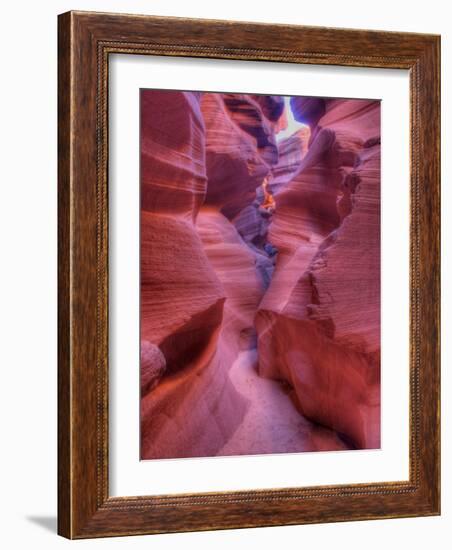 Tayo-Jim Crotty-Framed Photographic Print