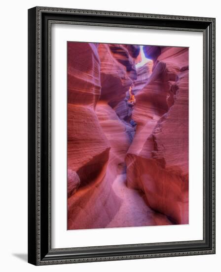 Tayo-Jim Crotty-Framed Photographic Print