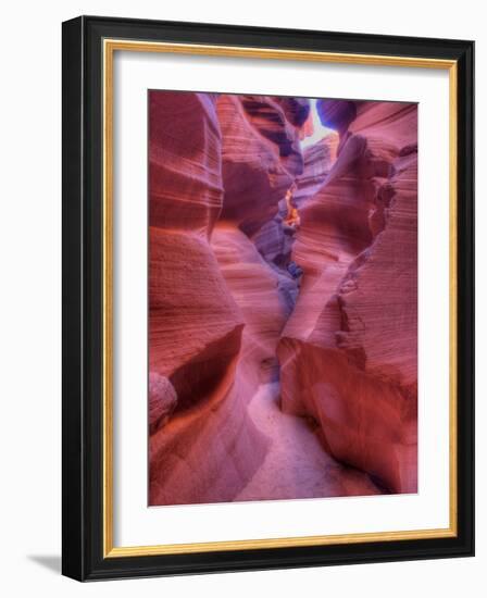 Tayo-Jim Crotty-Framed Photographic Print