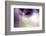 Tazza-Douglas Taylor-Framed Photographic Print