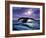 TC1041-Casay Anthony-Framed Giclee Print