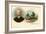 Tchaikovsky and Birthplace-null-Framed Premium Giclee Print