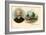 Tchaikovsky and Birthplace-null-Framed Premium Giclee Print