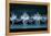 Tchaikovsky's Swan Lake, Mariinsky Theatre, St. Petersburg, 2004-null-Framed Premier Image Canvas