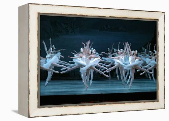 Tchaikovsky's Swan Lake, Mariinsky Theatre, St. Petersburg, 2004-null-Framed Premier Image Canvas