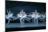 Tchaikovsky's Swan Lake, Mariinsky Theatre, St. Petersburg, 2004-null-Mounted Photographic Print