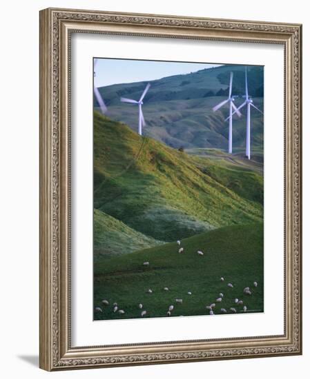 Te Apiti Wind Farm, Palmerston North, Manawatu, North Island, New Zealand, Pacific-Don Smith-Framed Photographic Print