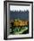 Te Kairanga Vineyard, Martinborough, Wairarapa, North Island, New Zealand-David Wall-Framed Photographic Print