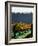 Te Kairanga Vineyard, Martinborough, Wairarapa, North Island, New Zealand-David Wall-Framed Photographic Print