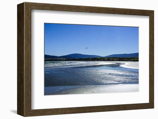 Te Waewae Bay, Along the Road from Invercargill to Te Anau, South Island, New Zealand, Pacific-Michael Runkel-Framed Photographic Print