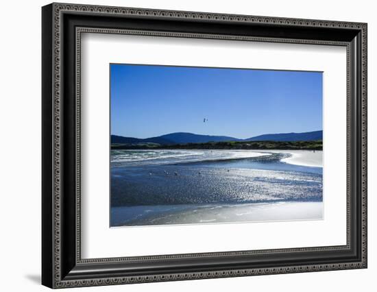 Te Waewae Bay, Along the Road from Invercargill to Te Anau, South Island, New Zealand, Pacific-Michael Runkel-Framed Photographic Print