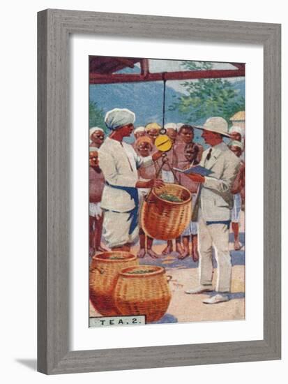 'Tea, 2. - Weighing the Pickings, Ceylon', 1928-Unknown-Framed Giclee Print
