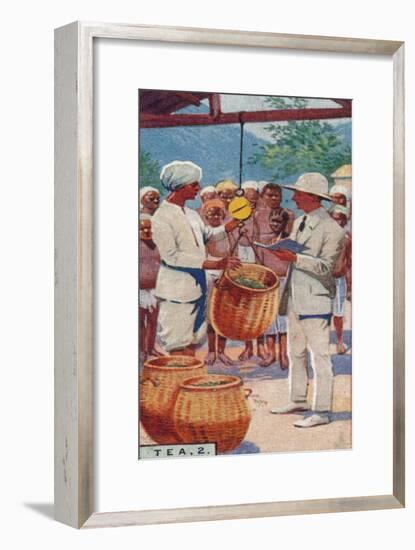 'Tea, 2. - Weighing the Pickings, Ceylon', 1928-Unknown-Framed Giclee Print