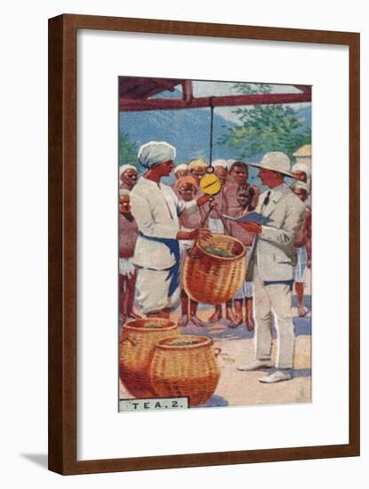 'Tea, 2. - Weighing the Pickings, Ceylon', 1928-Unknown-Framed Giclee Print