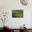 Tea (Camellia Sinensis) Estate-Bjorn Svensson-Framed Premier Image Canvas displayed on a wall