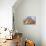 Tea Cats-Oxana Zaika-Giclee Print displayed on a wall