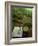 Tea Ceremony in Bamboo Forest, Kamakura City, Kanagawa Prefecture, Japan, Asia-Christian Kober-Framed Photographic Print