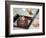 Tea Ceremony, Kyoto, Japan-Shin Terada-Framed Photographic Print