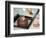 Tea Ceremony, Kyoto, Japan-Shin Terada-Framed Photographic Print