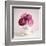 Tea Cup Posies-Susannah Tucker-Framed Art Print